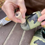 Runde Auftragsbürste helles Rosshaar – Bild 6