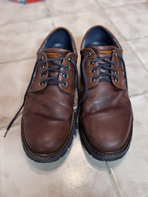 fertig gepflegte Schuhe