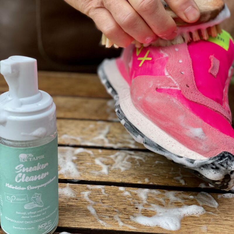 Reinigung mit Cleaner